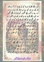 دیوانے تیرے پیار کے قسط نمبر 05_260414_100336_92.webp