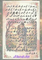 دیوانے_تیرے_پیار_کے_قسط_06_آخری_قسط_260414_231617_2.webp
