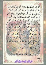 دیوانے_تیرے_پیار_کے_قسط_06_آخری_قسط_260414_231617_3.webp