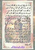 دیوانے_تیرے_پیار_کے_قسط_06_آخری_قسط_260414_231617_5.webp