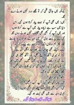 دیوانے_تیرے_پیار_کے_قسط_06_آخری_قسط_260414_231617_7.webp