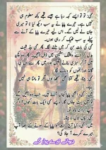 دیوانے_تیرے_پیار_کے_قسط_06_آخری_قسط_260414_231617_9.webp
