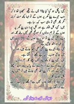 دیوانے_تیرے_پیار_کے_قسط_06_آخری_قسط_260414_231617_10.webp