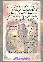 دیوانے_تیرے_پیار_کے_قسط_06_آخری_قسط_260414_231617_11.webp