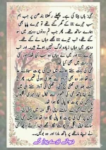 دیوانے_تیرے_پیار_کے_قسط_06_آخری_قسط_260414_231617_13.webp