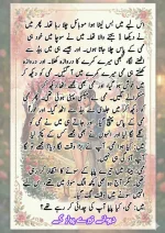 دیوانے_تیرے_پیار_کے_قسط_06_آخری_قسط_260414_231617_15.webp
