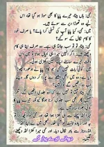 دیوانے_تیرے_پیار_کے_قسط_06_آخری_قسط_260414_231617_16.webp