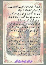 دیوانے_تیرے_پیار_کے_قسط_06_آخری_قسط_260414_231617_17.webp