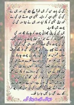 دیوانے_تیرے_پیار_کے_قسط_06_آخری_قسط_260414_231617_19.webp