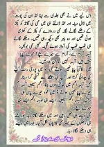 دیوانے_تیرے_پیار_کے_قسط_06_آخری_قسط_260414_231617_20.webp