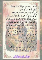 دیوانے_تیرے_پیار_کے_قسط_06_آخری_قسط_260414_231617_21.webp