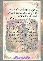 دیوانے_تیرے_پیار_کے_قسط_06_آخری_قسط_260414_231617_23.webp