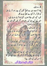 دیوانے_تیرے_پیار_کے_قسط_06_آخری_قسط_260414_231617_25.webp