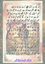 دیوانے_تیرے_پیار_کے_قسط_06_آخری_قسط_260414_231617_28.webp