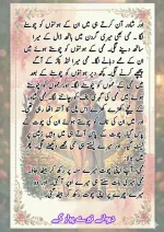 دیوانے_تیرے_پیار_کے_قسط_06_آخری_قسط_260414_231617_30.webp