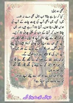 دیوانے_تیرے_پیار_کے_قسط_06_آخری_قسط_260414_231617_32.webp