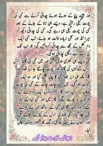 دیوانے_تیرے_پیار_کے_قسط_06_آخری_قسط_260414_231617_34.webp