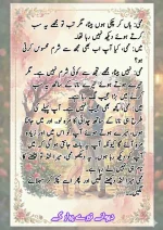دیوانے_تیرے_پیار_کے_قسط_06_آخری_قسط_260414_231617_37.webp