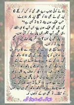 دیوانے_تیرے_پیار_کے_قسط_06_آخری_قسط_260414_231617_39.webp