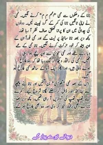 دیوانے_تیرے_پیار_کے_قسط_06_آخری_قسط_260414_231617_45.webp