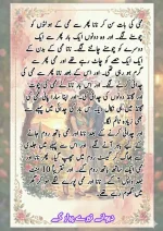 دیوانے_تیرے_پیار_کے_قسط_06_آخری_قسط_260414_231617_50.webp