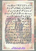 دیوانے_تیرے_پیار_کے_قسط_06_آخری_قسط_260414_231617_54.webp