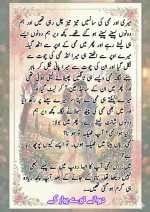 دیوانے_تیرے_پیار_کے_قسط_06_آخری_قسط_260414_231617_61.webp