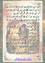 دیوانے_تیرے_پیار_کے_قسط_06_آخری_قسط_260414_231617_67.webp