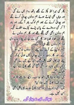 دیوانے_تیرے_پیار_کے_قسط_06_آخری_قسط_260414_231617_68.webp