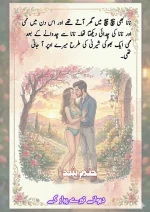دیوانے_تیرے_پیار_کے_قسط_06_آخری_قسط_260414_231617_73.webp