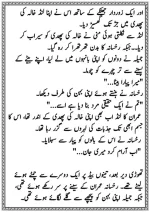 دودھ کا قرض پارٹ 3_260422_085147_19.webp