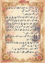 دودھ کا قرض پارٹ 3_260422_085147_30.webp