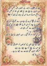 دودھ کا قرض پارٹ 3_260422_085147_53.webp