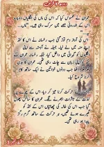 دودھ کا قرض پارٹ 3_260422_085147_58.webp