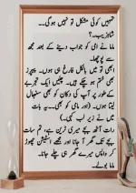 میرا-پیار۔میری-چاہت۔مامی-جان_260425_084944_5.webp