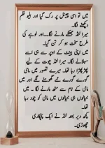 میرا-پیار۔میری-چاہت۔مامی-جان_260425_084944_11.webp