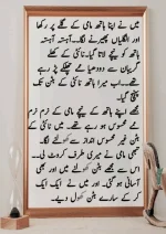 میرا-پیار۔میری-چاہت۔مامی-جان_260425_084944_14.webp