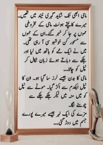 میرا-پیار۔میری-چاہت۔مامی-جان_260425_084944_19.webp