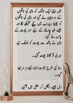 میرا-پیار۔میری-چاہت۔مامی-جان_260425_084944_20.webp