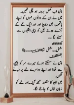 میرا-پیار۔میری-چاہت۔مامی-جان_260425_084944_23.webp