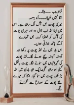 میرا-پیار۔میری-چاہت۔مامی-جان_260425_084944_31.webp