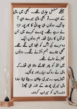 میرا-پیار۔میری-چاہت۔مامی-جان_260425_084944_34.webp