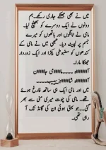 میرا-پیار۔میری-چاہت۔مامی-جان_260425_084944_35.webp